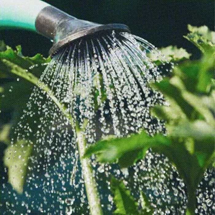 Sobac, Création site e-commerce - Prestashop