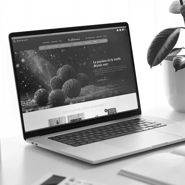 Truffe France, Création site e-commerce personnalisé à Rodez, en Aveyron